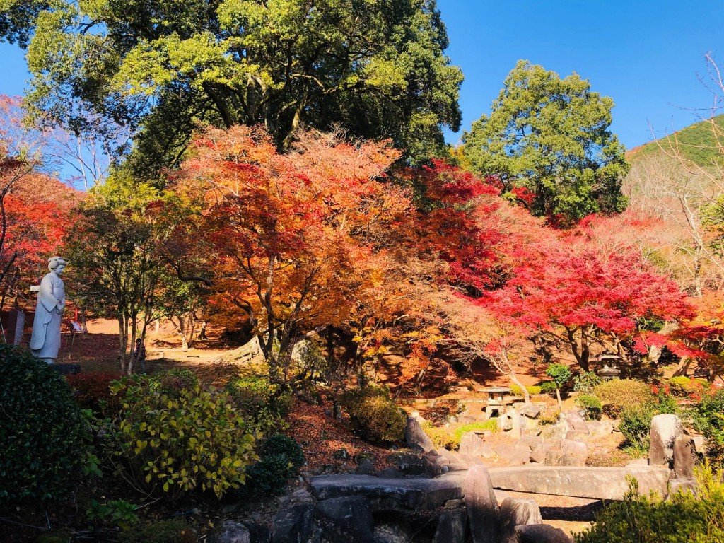 🏞️ 오제키산 공원(오제키야마 코엔) 이미지 1